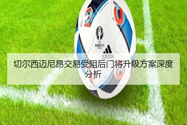 切尔西迈尼昂交易受阻后门将升级方案深度分析